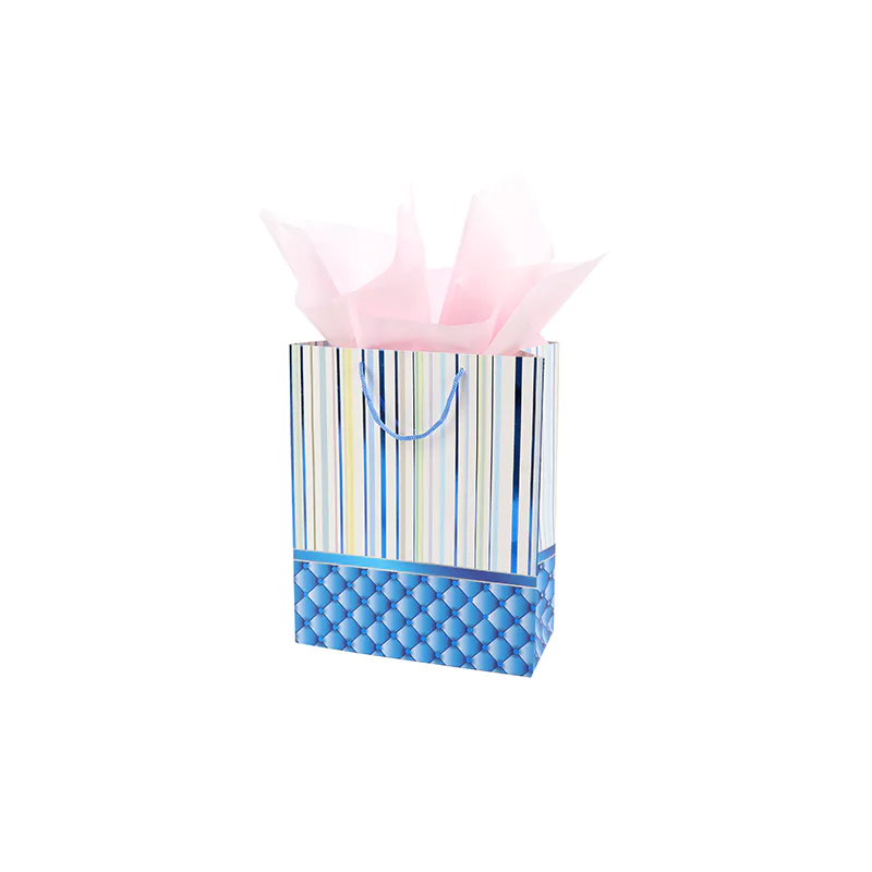 Jialan gift bags factory for packing birthday gifts