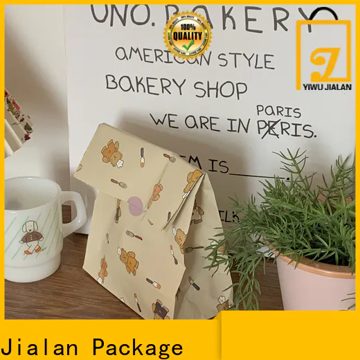 Jialan Package Buy paper bags with handles wholesale for packing birthday gifts