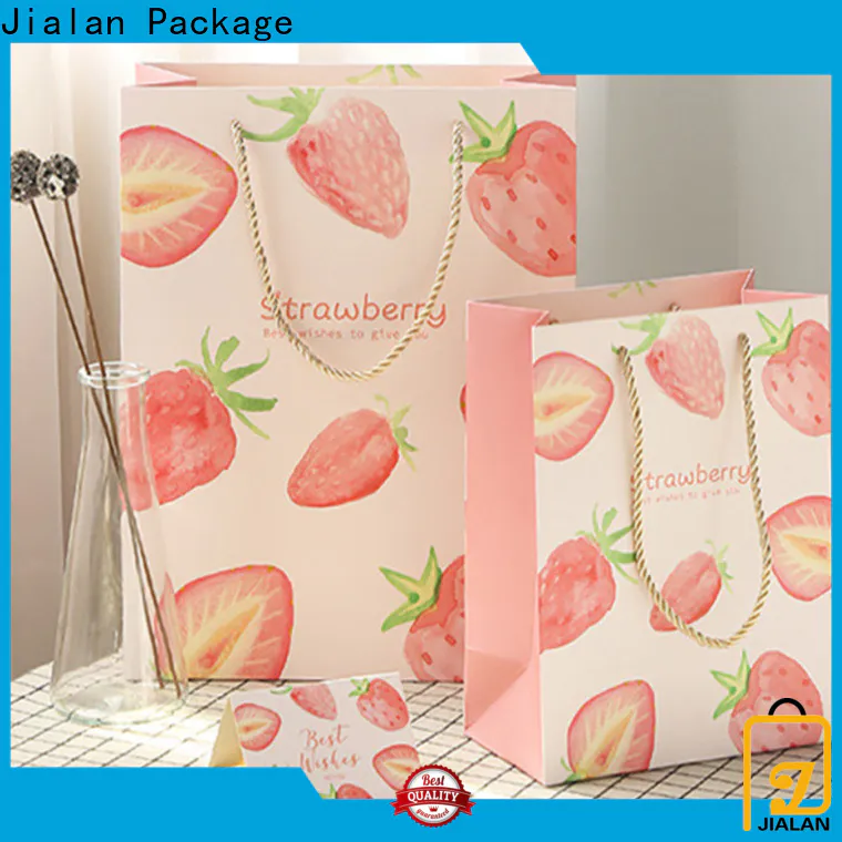 Professional gift bags wholesale for holiday gifts packing