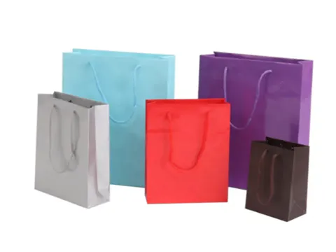 Elevate Your Brand with Customized Paper Color Bags