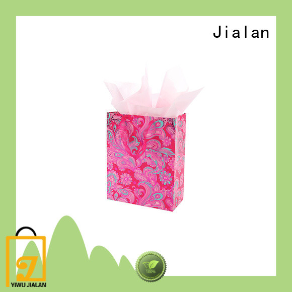 professional personalized paper bags packing gifts