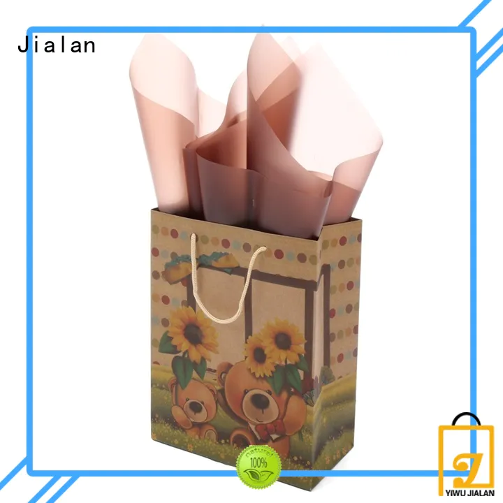 Jialan good quality paper bag perfect for clothing stores