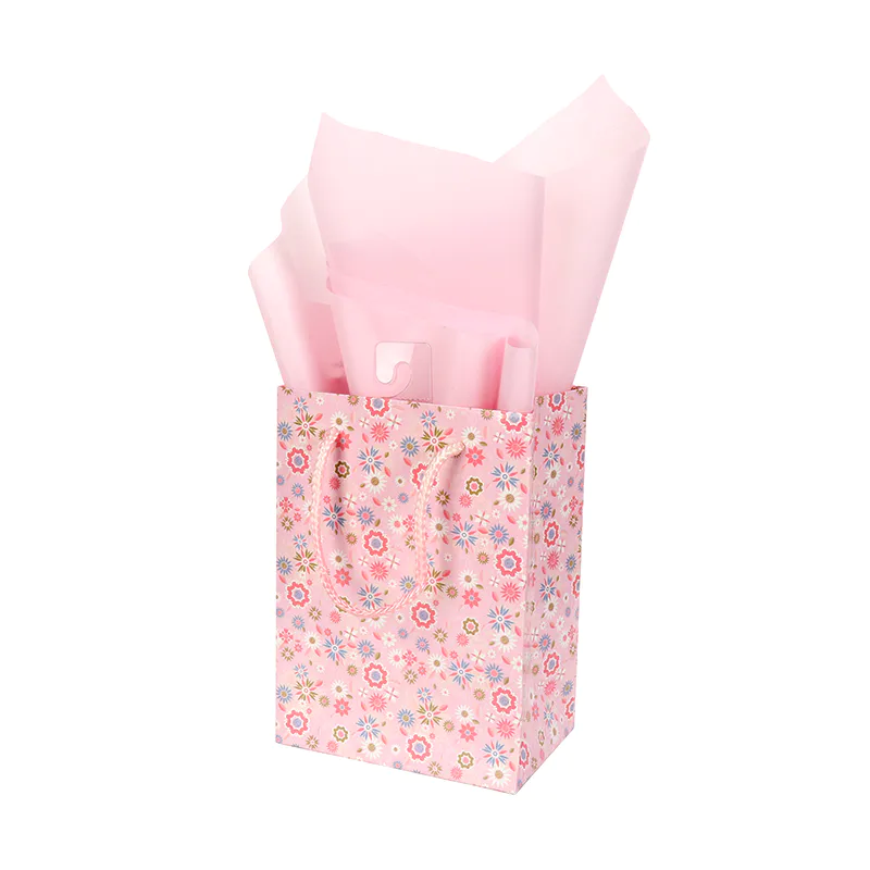 Jialan gift bags company for packing gifts