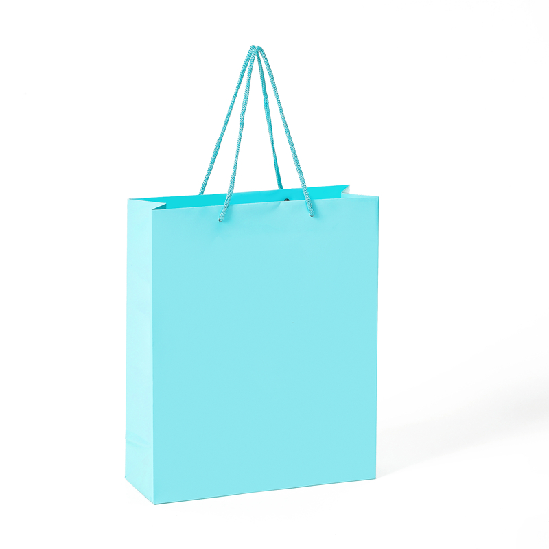Wholesale Top Quality Custom Coated Daily Shopping Gift Paper Bag With Handle