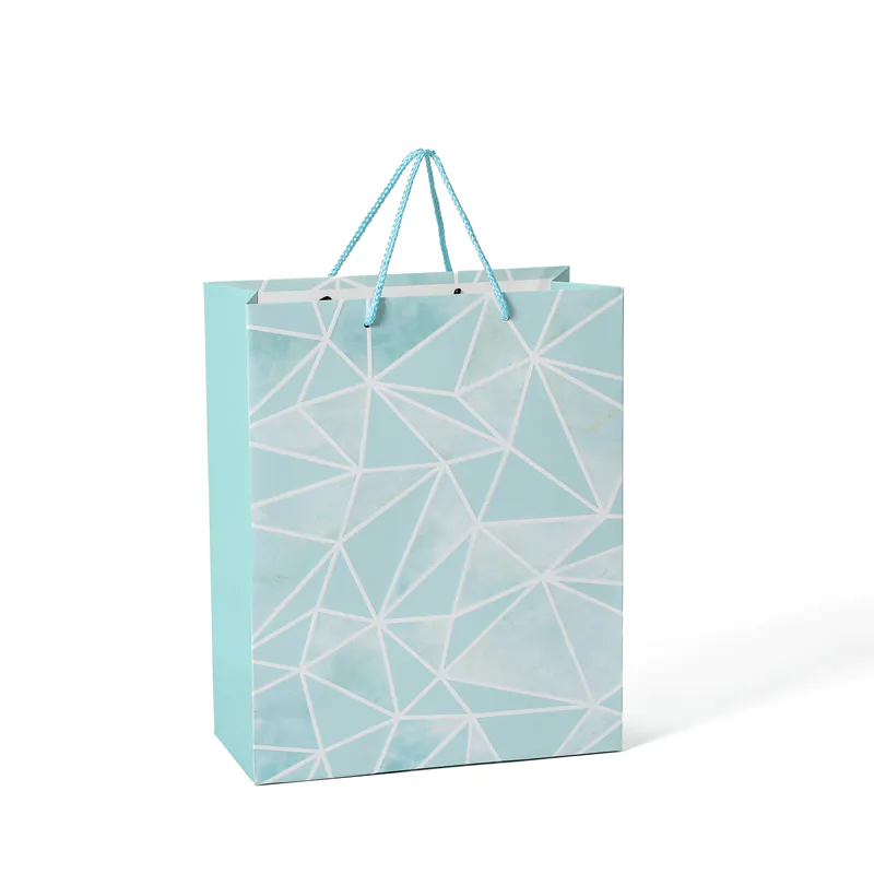 Hot Selling Eco-Friendly Embossing Fancy Daily Shopping Gift Paper Bag