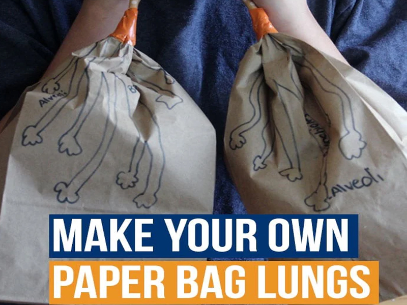 Make Your Own Paper Bag Lungs Activity, Yiwu Jialan Package Co.,ltd