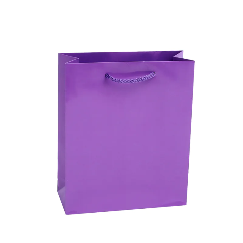 Custom printed gift Paper solid color bags with pp handle