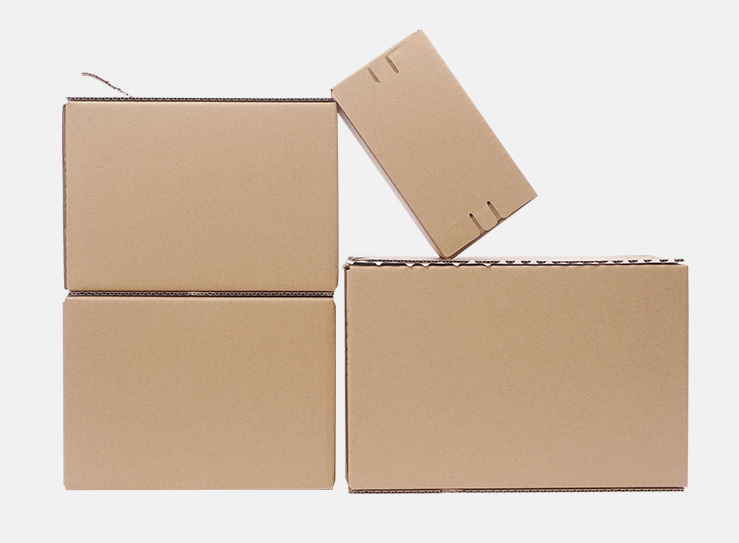 Boîte de Carton de fermeture à glissière Ondulée d'Emballage Personnalisé