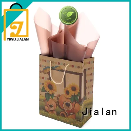 Jialan hot selling paper kraft bags perfect for clothing stores